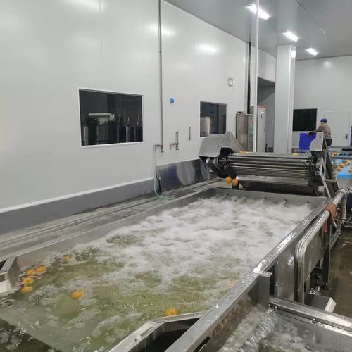 超聲波清洗設備 從源頭工廠視角看百香果、小金桔、橙子、黃皮的高效清潔解決方案